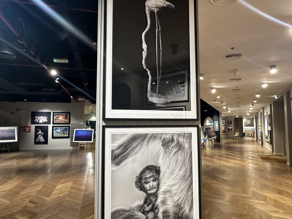 Photography exhibition Dubai - Between Worlds curated by Claire Dominics Buro